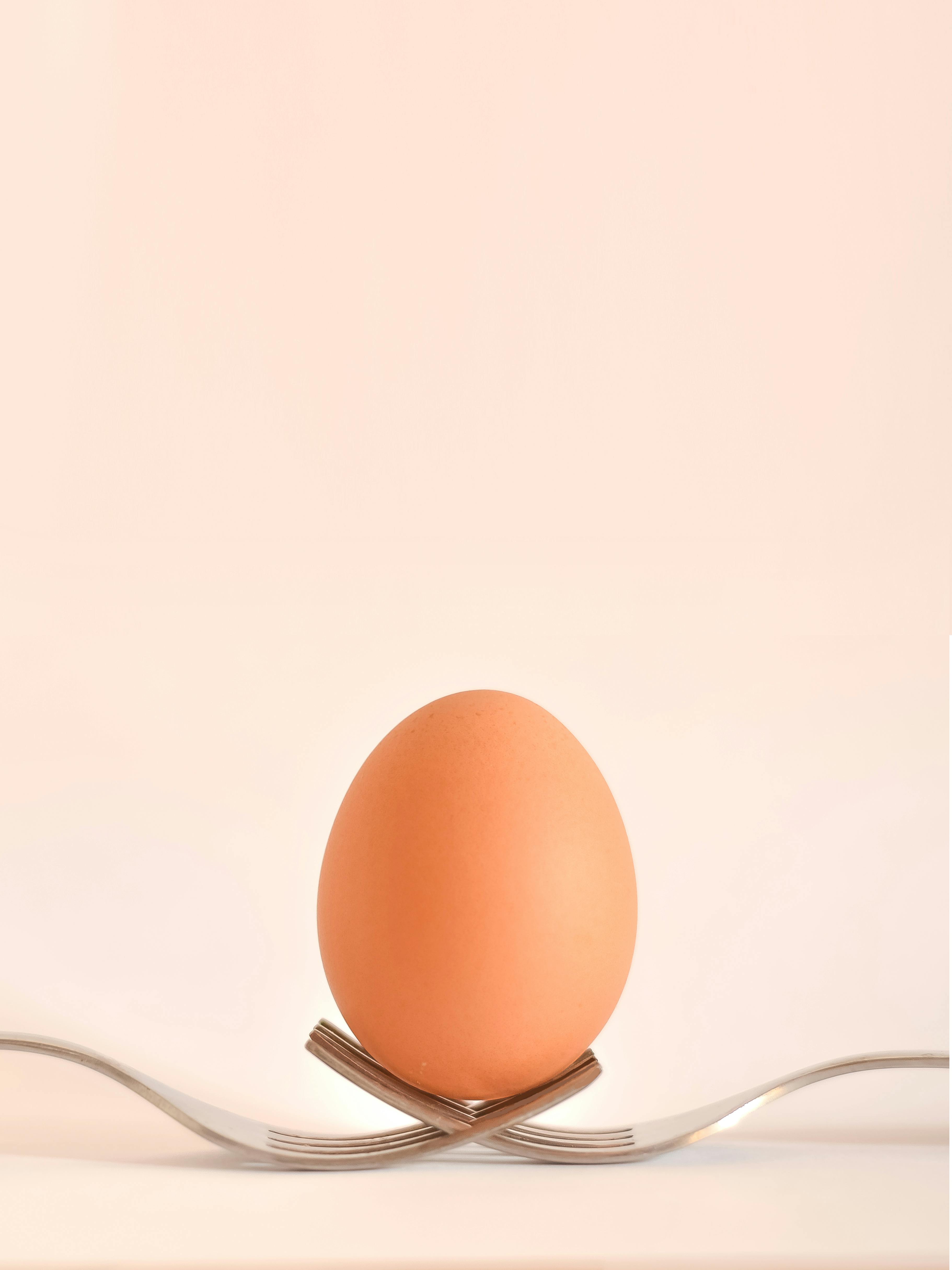 Smart Ways to Use True Fit Protein Diet for Better Results in 2025
