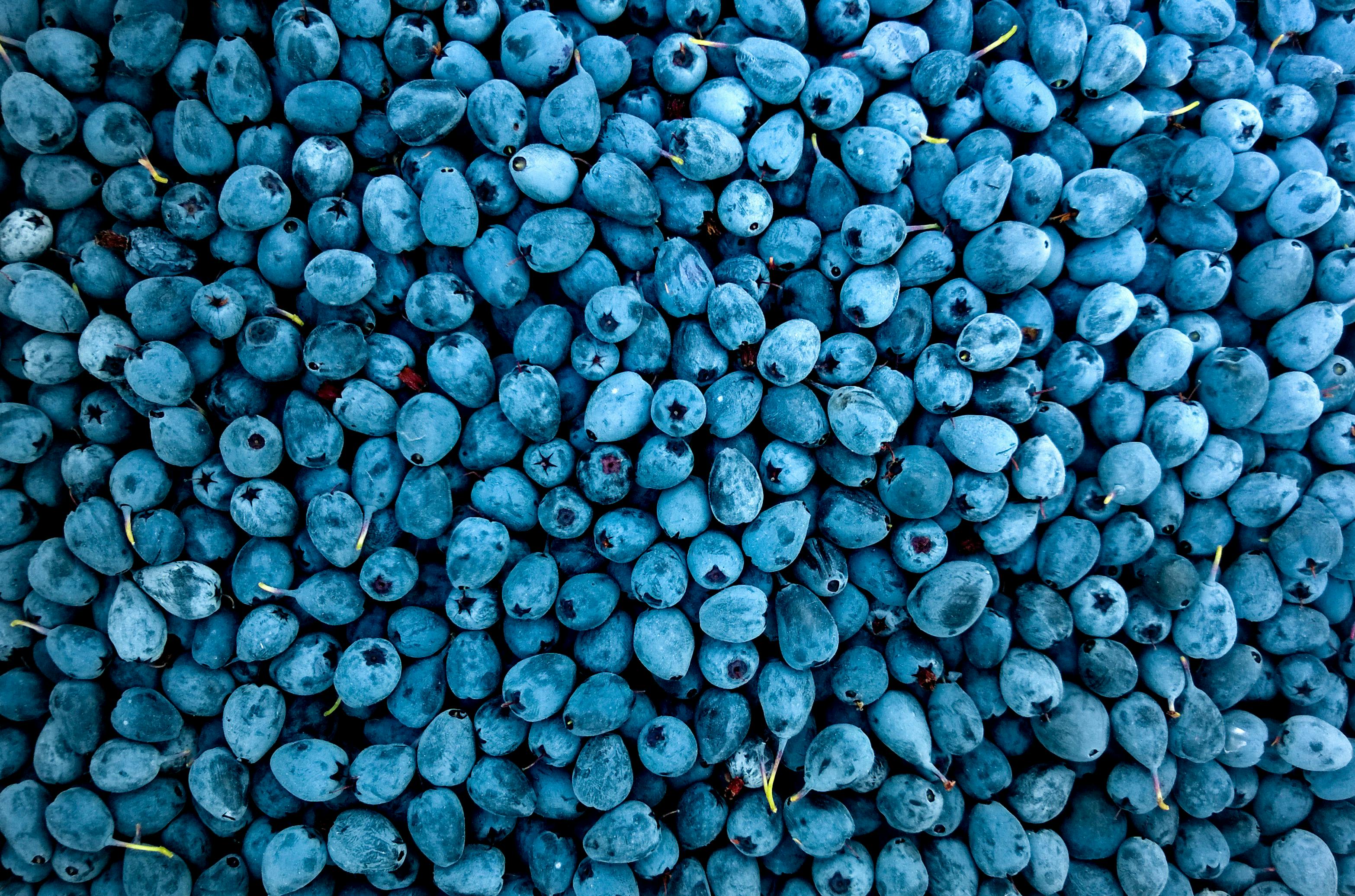Top 5 Delicious Foods that Start with K to Try in 2025