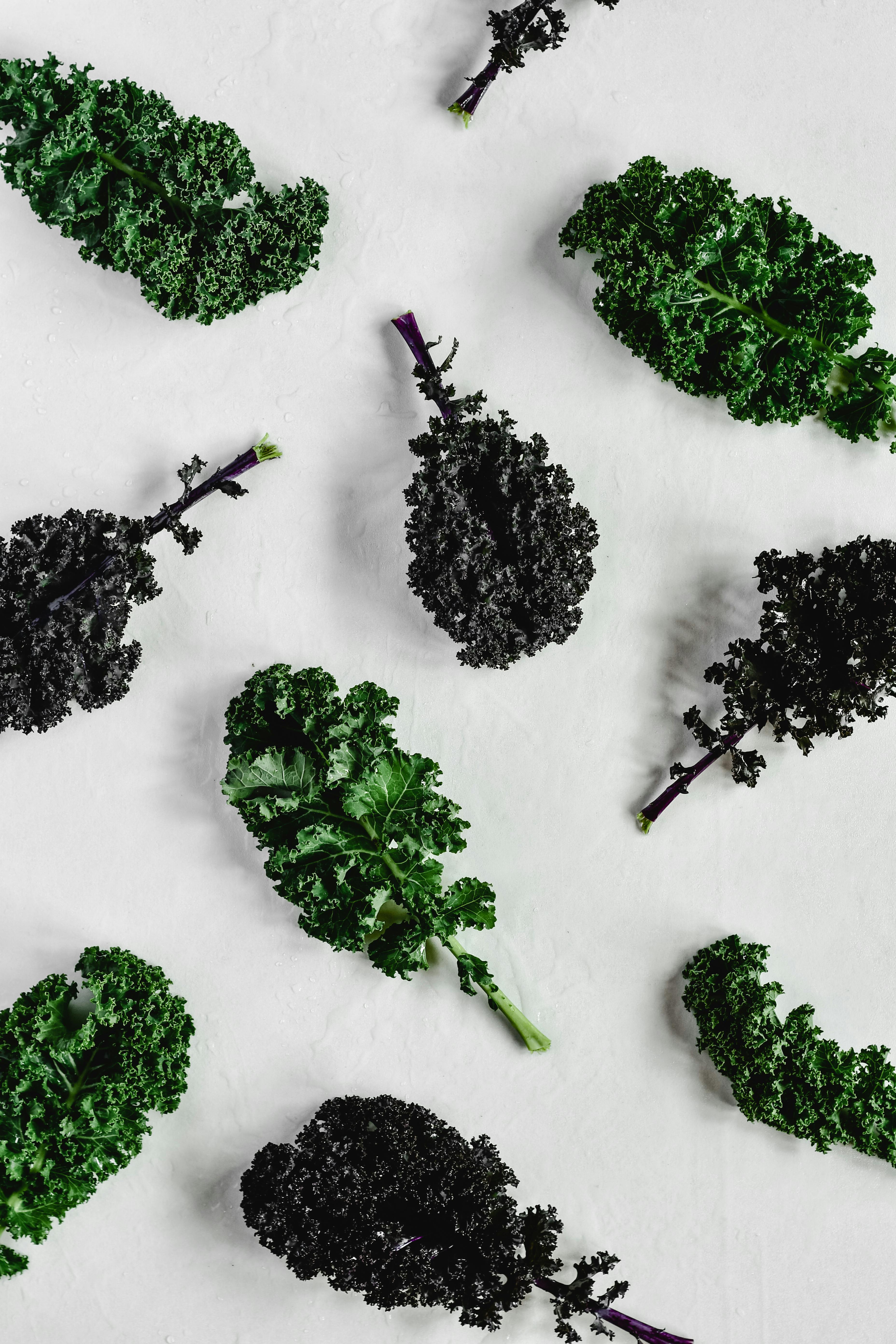 Effective Air Fryer Keto Recipes to Succeed in 2025