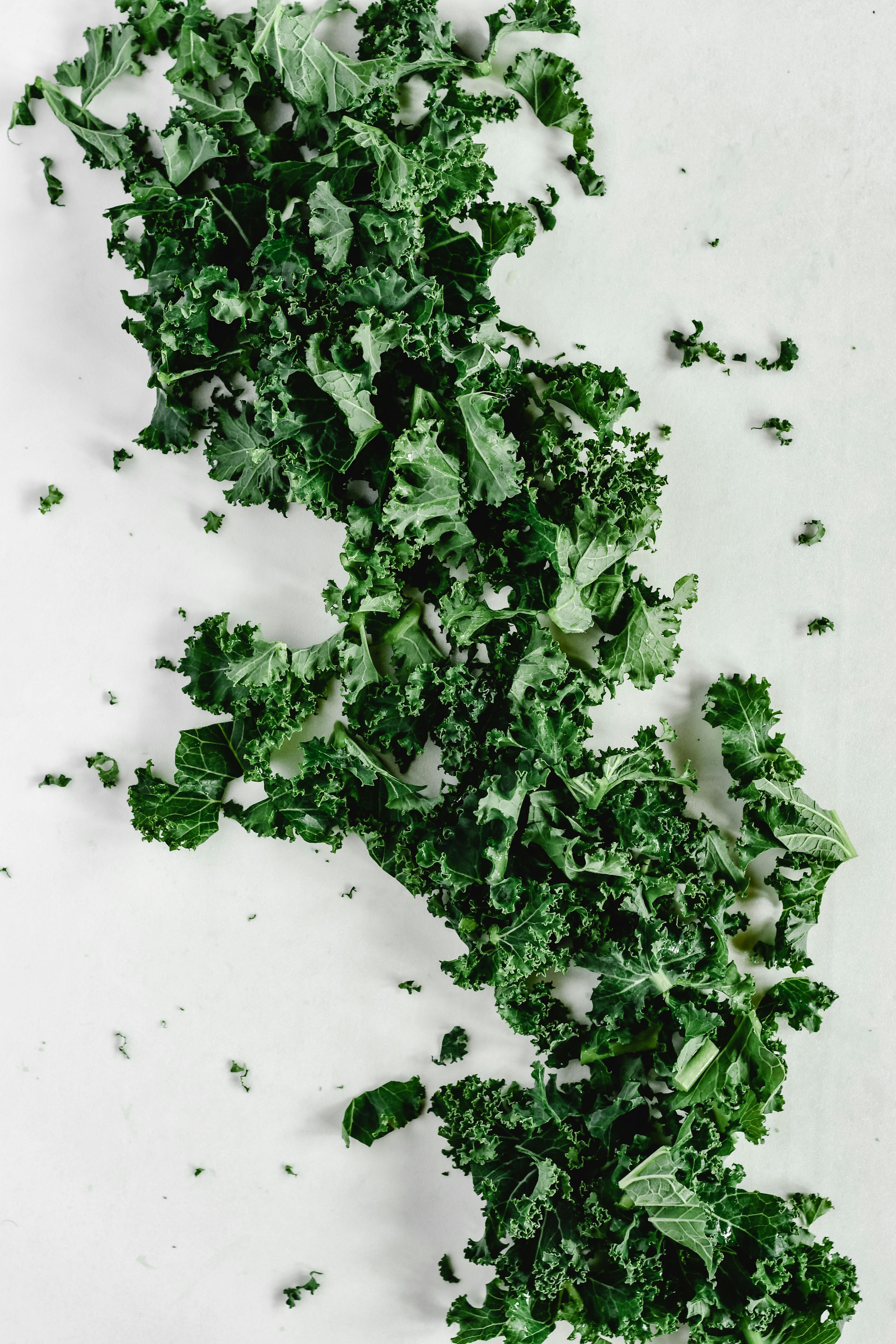 Top 10 Proven Biofuel Keto ACV Gummies for Modern Wellness