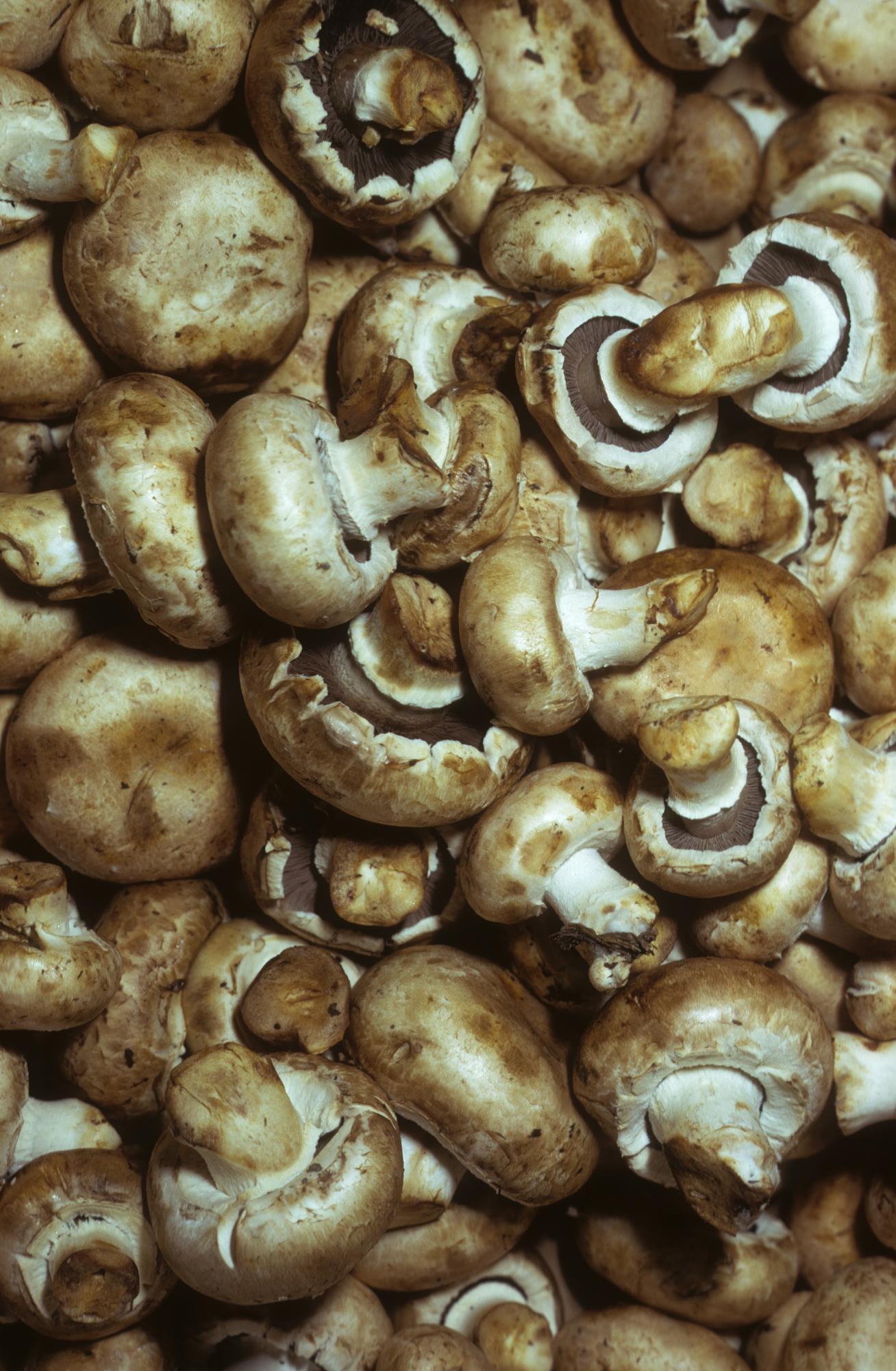 Mushrooms on a keto diet